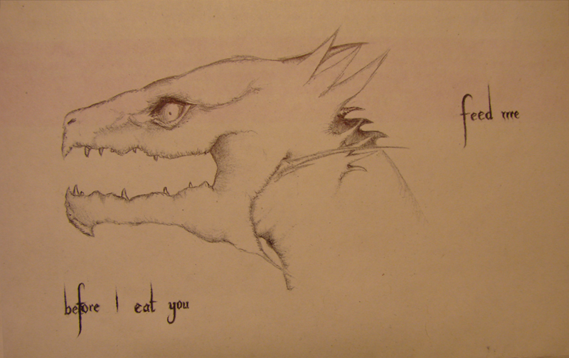 Dragon's sketch