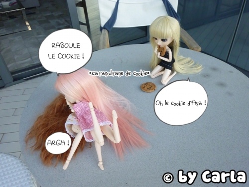 Cawa's photostorys - Le cookie °W° Mod_article44764363_4f5f90d4be2d6